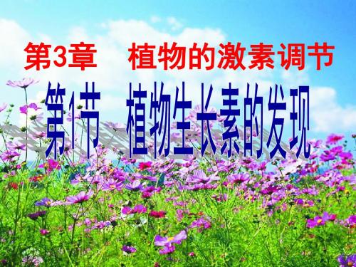 人教版高中生物必修3第3章第1节 植物生长素的发现(共37张PPT)