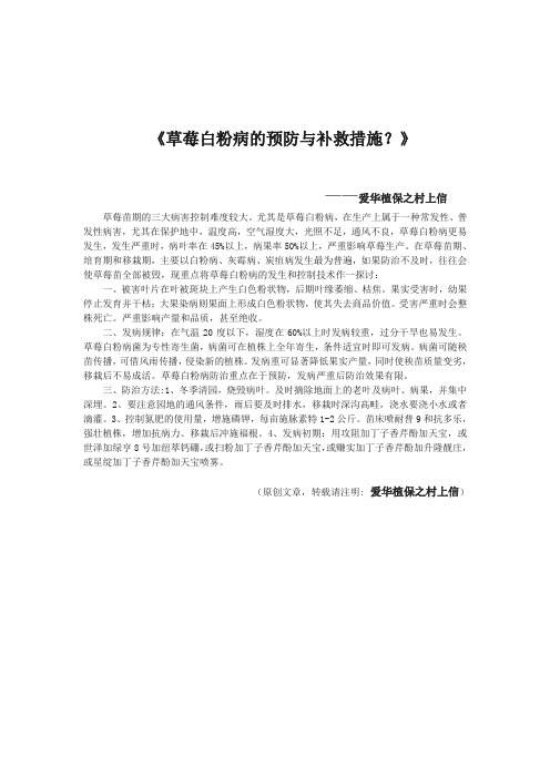 草莓白粉病的预防与补救措施