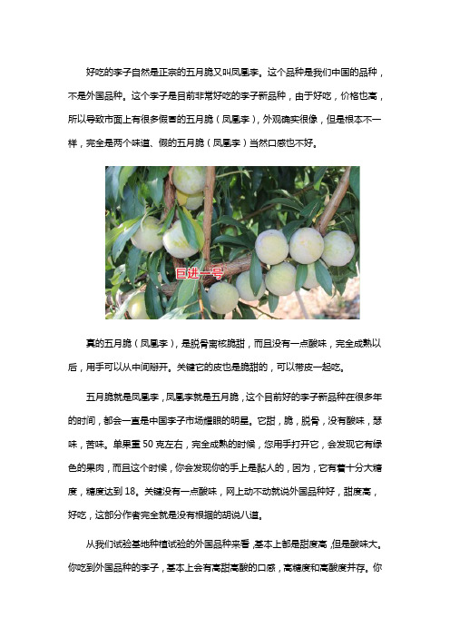 最好吃的李子是哪一种