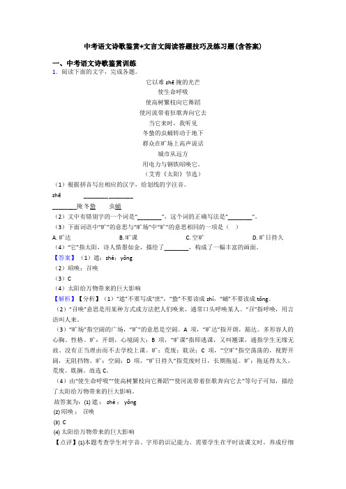 中考语文诗歌鉴赏+文言文阅读答题技巧及练习题(含答案)