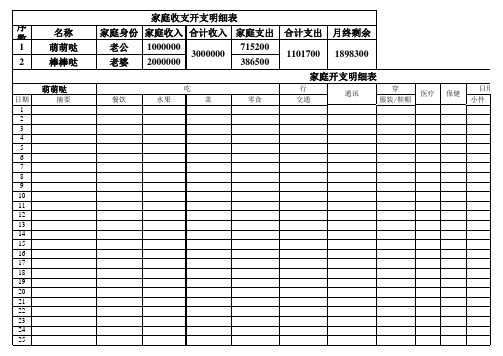 家庭收支明细表