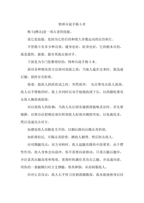 特种兵徒手格斗术
