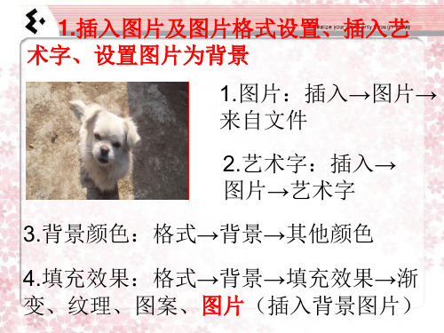 动态PPT制作详细步骤(微软03版)