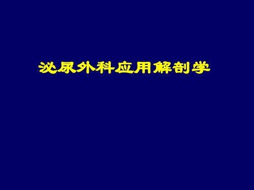 泌尿系应用解剖