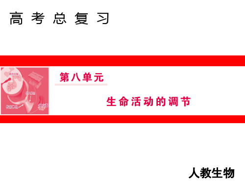 第八单元 第26讲 通过激素的调节 神经调节与体液调节的关系