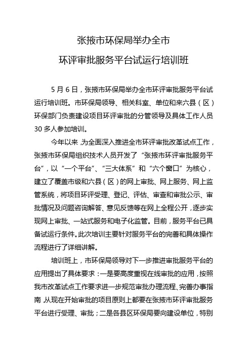 全市审批平台试运行 --改