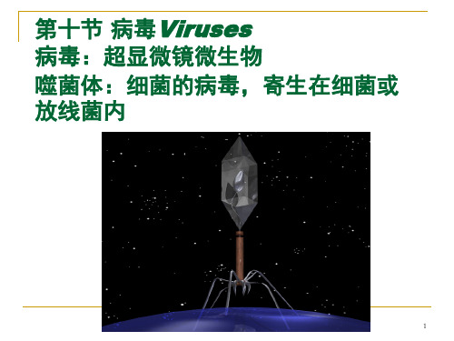 病毒Viruses