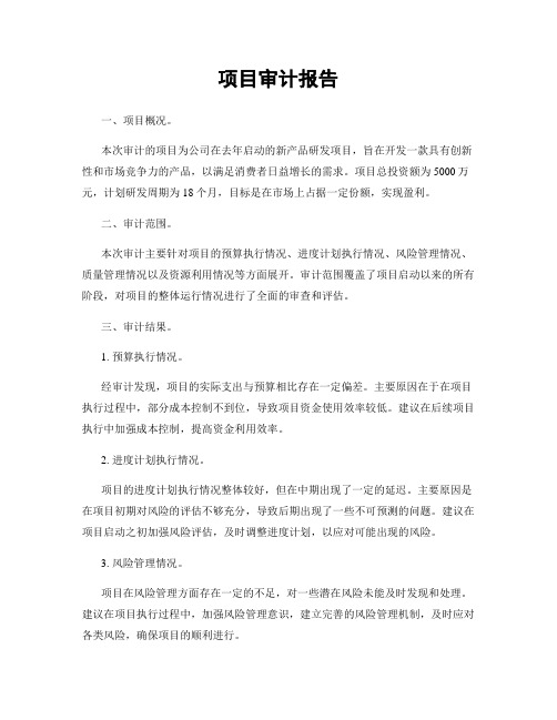 项目审计报告