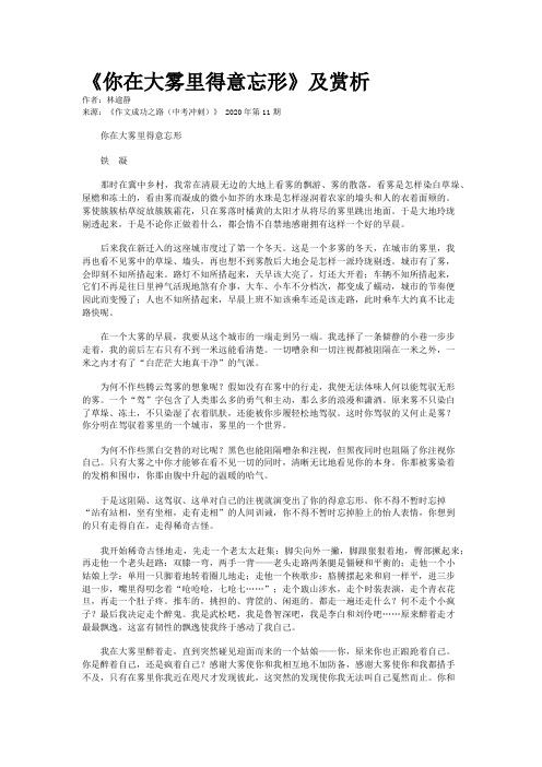 《你在大雾里得意忘形》及赏析