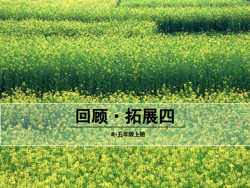 (赛课课件)人教版五年级上册语文《回顾·拓展四 》(共18张PPT)