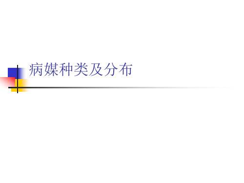 病媒种类及分布