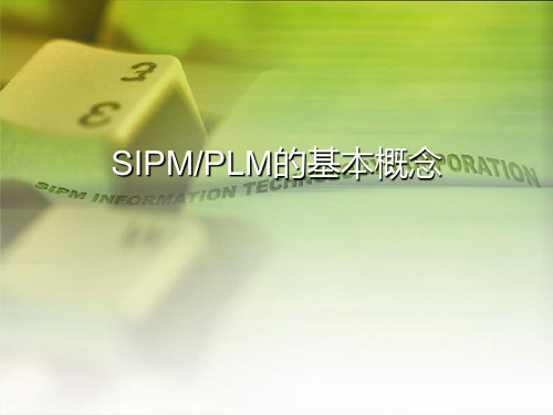 SIPMPLM的基本概念精品PPT课件