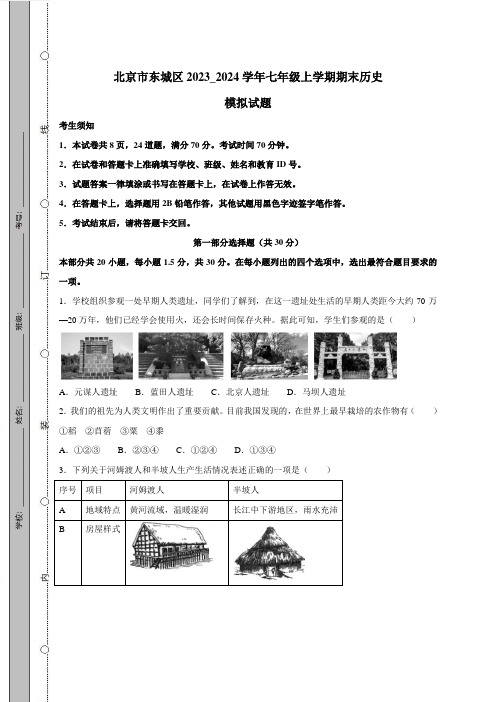 北京市东城区2023_2024学年七年级上学期期末历史模拟试题(含答案)