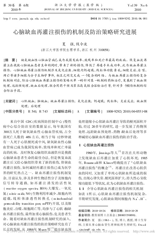 心脑缺血再灌注损伤的机制及防治策略研究进展_夏强