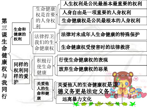 八年级政治我们的人身权利(1)