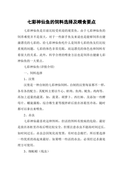 七彩神仙鱼的饲料选择及喂食要点