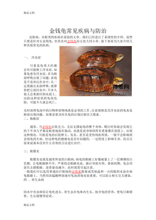(整理)金钱龟常见疾病与防治