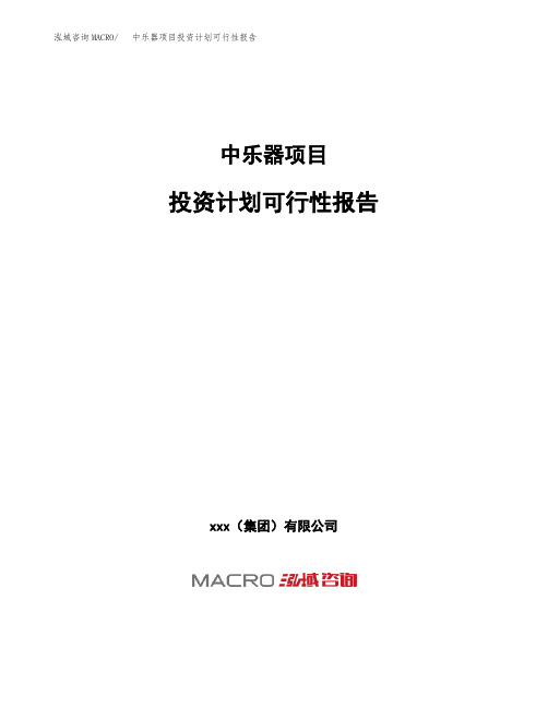 中乐器项目投资计划可行性报告