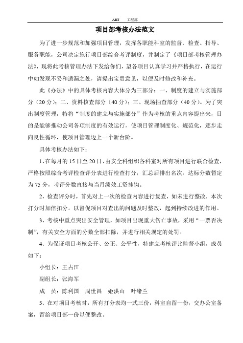 项目考核办法范文
