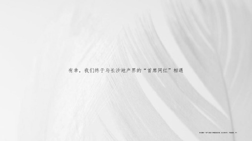 【推广】2020长沙印湘江项目推广策略提报-147P-金铠广告