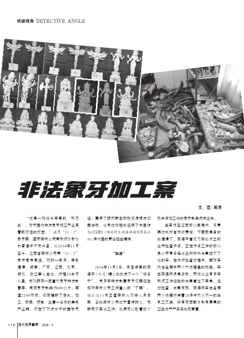 非法象牙加工案