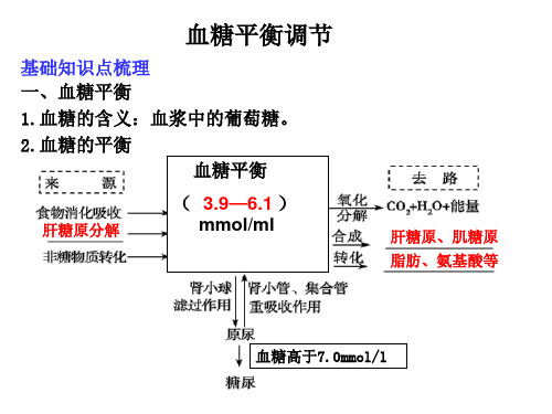 血糖调节.ppt