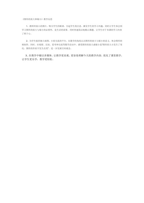 图形的放大和缩小反思