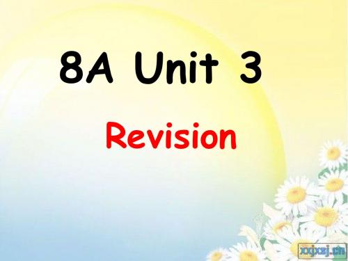 8A Unit 3  复习课件