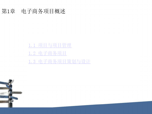 电子商务项目策划与设计