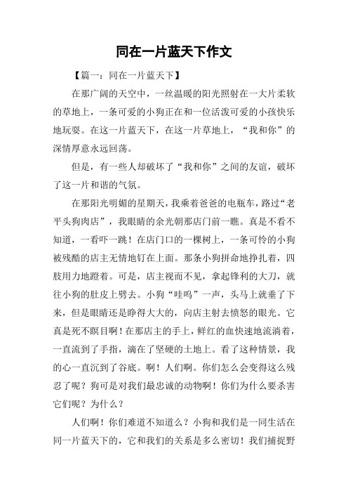 同在一片蓝天下作文