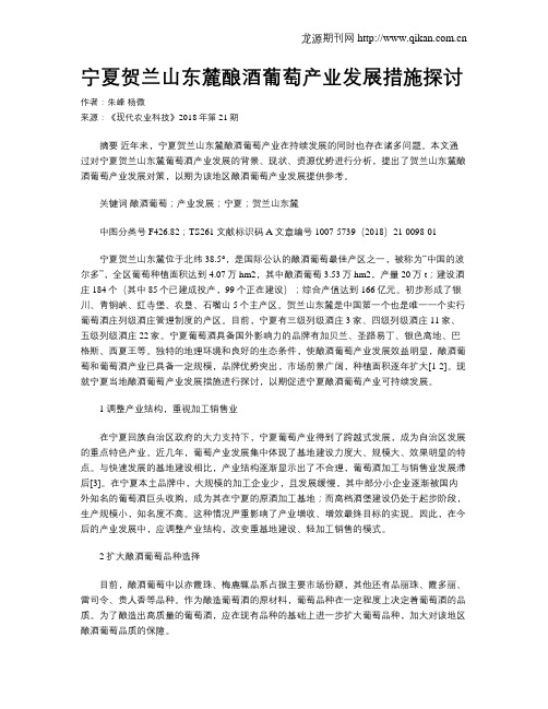 宁夏贺兰山东麓酿酒葡萄产业发展措施探讨