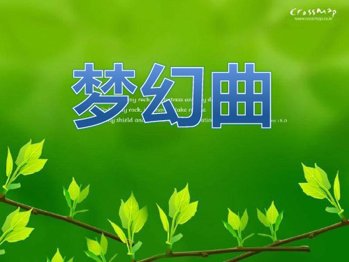 梦幻曲 PPT优秀课件