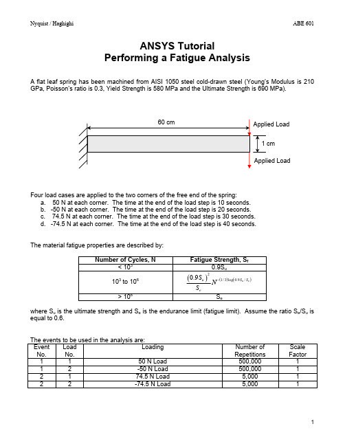 fatigue_tutorial_v81