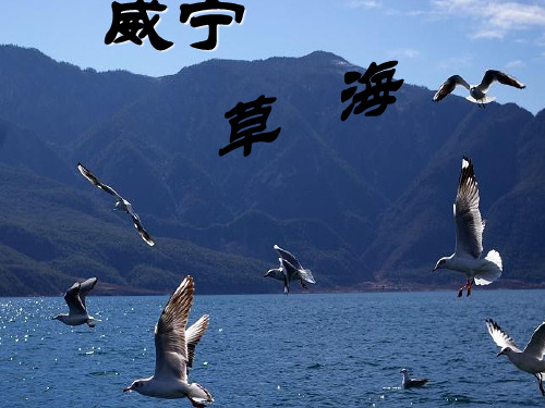威宁草海