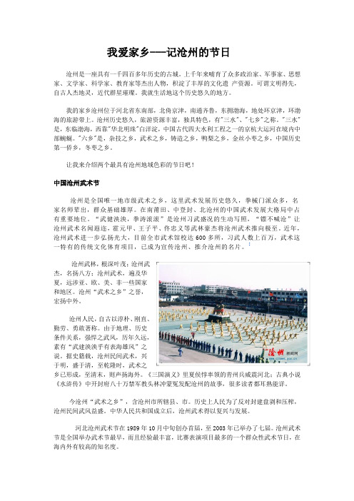 我爱家乡--中国沧州武术节