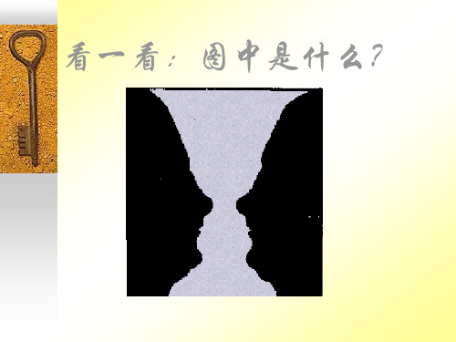 事物的正确答案不止一个PPT课件 (19)