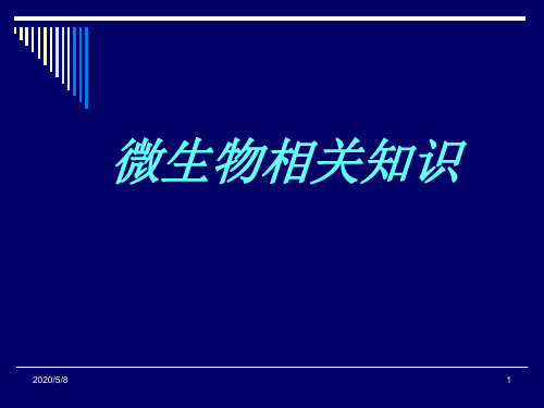 微生物89738-PPT文档资料