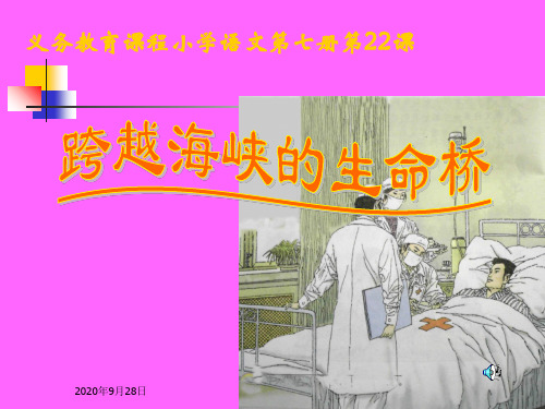 人教版小学四年级语文跨越海峡的生命桥分解PPT课件