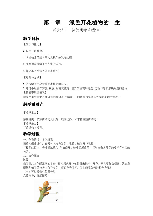 4520.济南版生物八年级上册教案第4单元第1章第6节芽的类型和发育