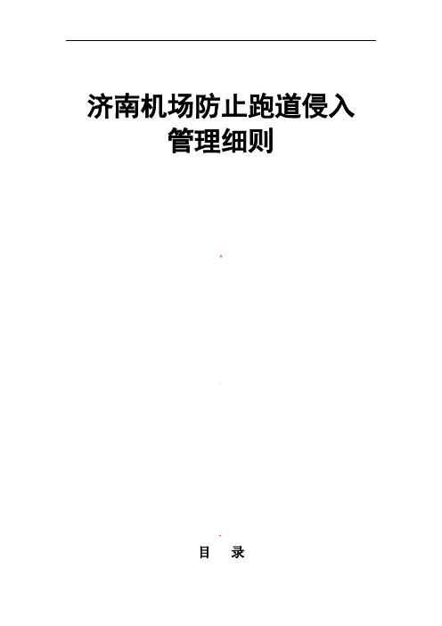 济南机场防止跑道侵入细则2