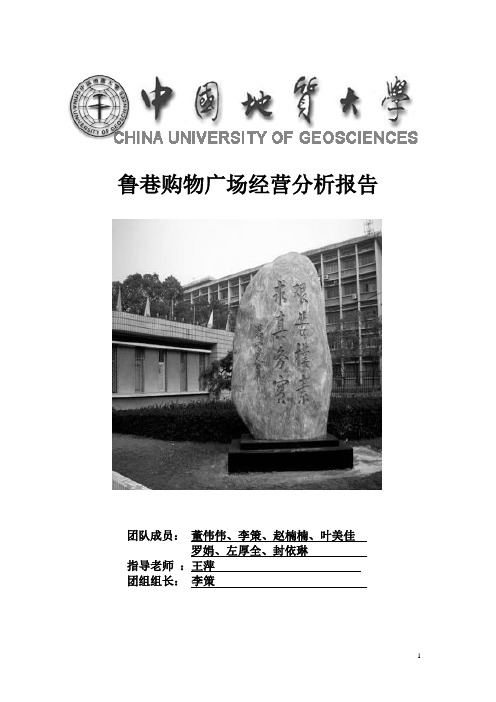 关于鲁巷购物广场的调查分析报告