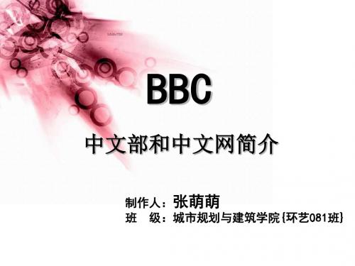 中文部和中文网简介英美概况-PPT文档资料