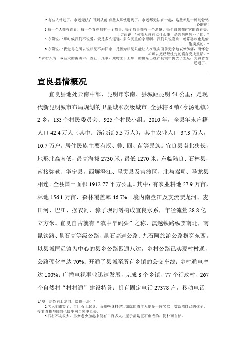 宜良县情概况
