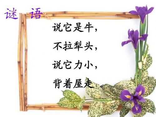 6 蜗牛ppt