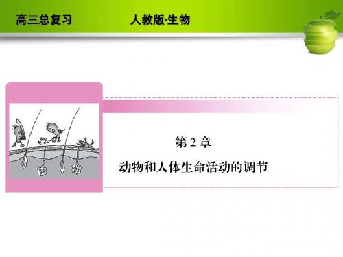 2012高考生物一轮复习(人教版)必修三课件2