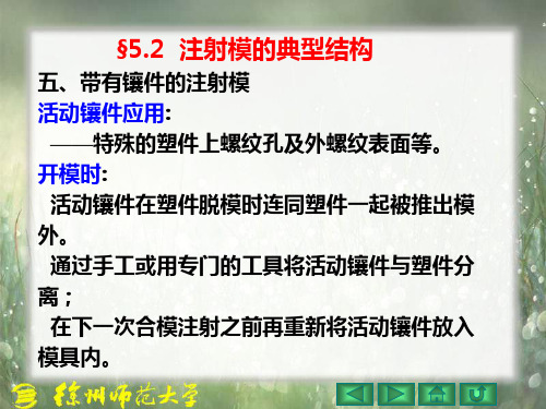 §5.2 五、带有镶件的注射模