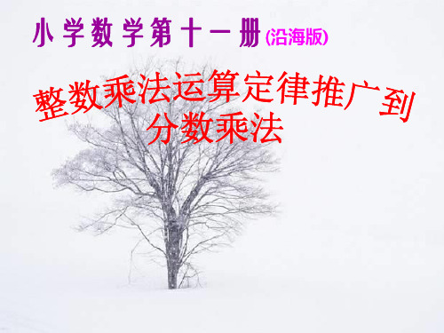 整数乘法运算定律推广到分数乘法PPT课件
