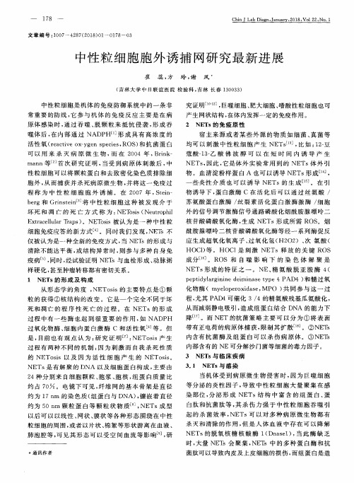 中性粒细胞胞外诱捕网研究最新进展