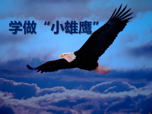 《学做“小雄鹰”》我们真棒 精品PPT课件(共22张)