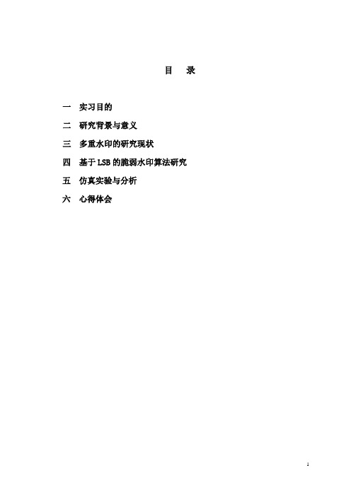 多重水印算法设计